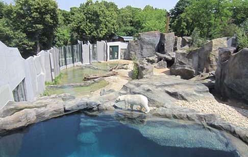 Eisbärenanlage Tiergarten Schönbrunn, Wien